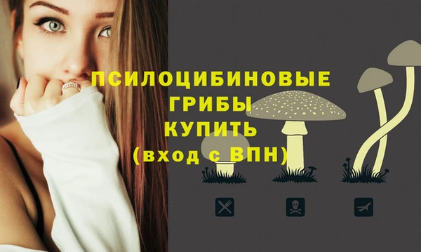 гидропоника Нефтекумск